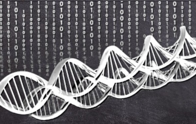 Formación en Medicina Holística Tenerife 2026/2027