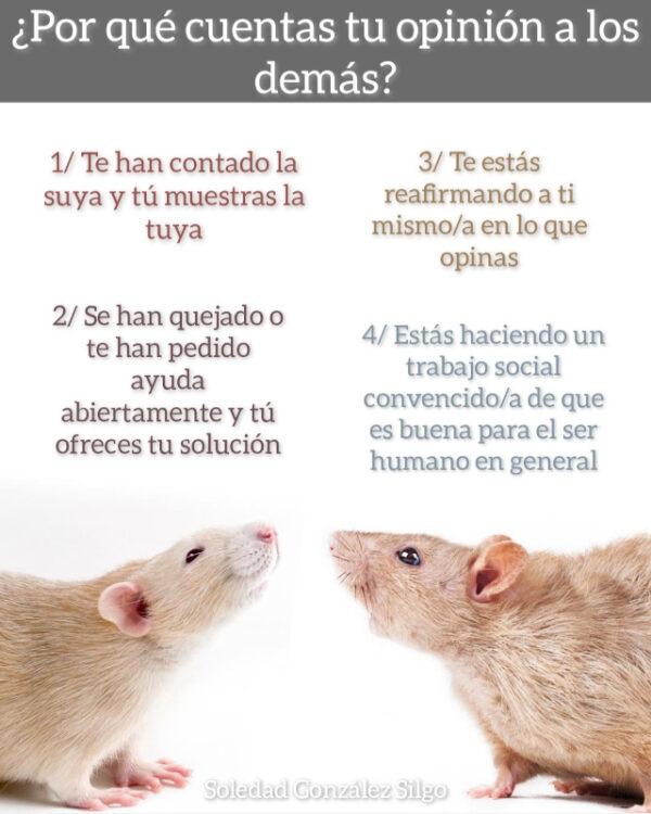 4 motivos para dar tu opinión: Mapa Conceptual.