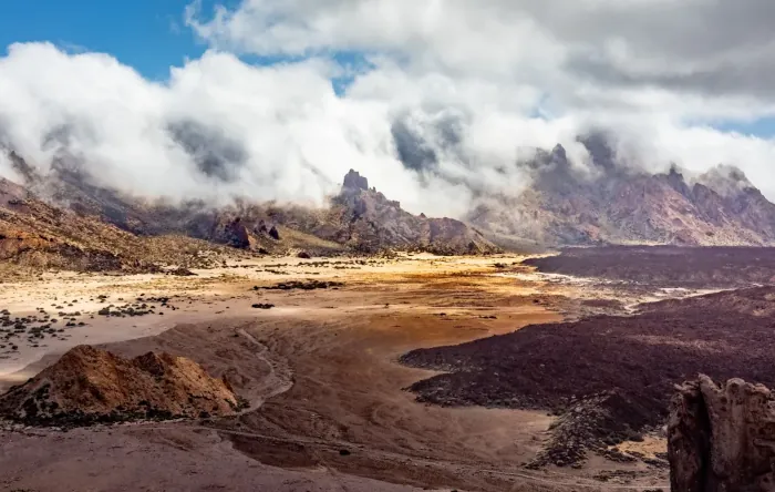 Instituto Holístico Xaneyá
