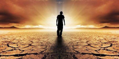 Despertar a la Consciencia