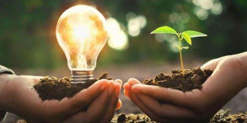 Despertar a la Consciencia