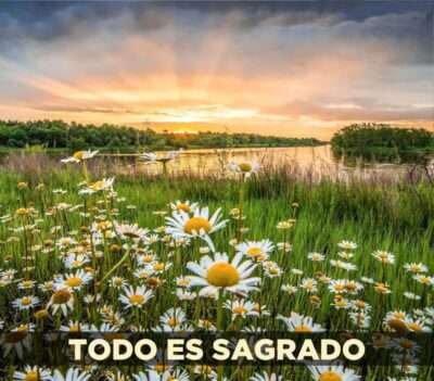 Frases inspiradoras todo es sagrado